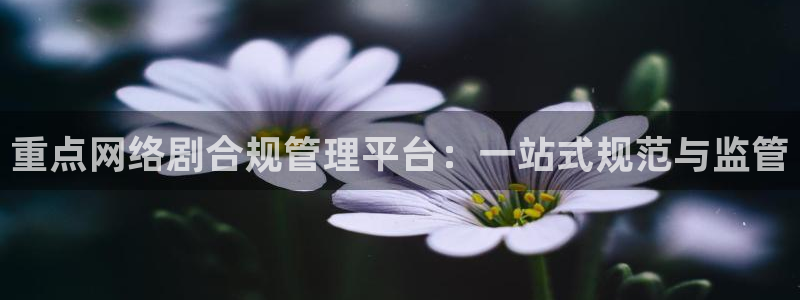 重點網(wǎng)絡劇合規(guī)管理平臺：一站式規(guī)范與監(jiān)管