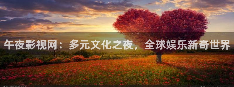 午夜影視網(wǎng)：多元文化之夜，全球娛樂新奇世界